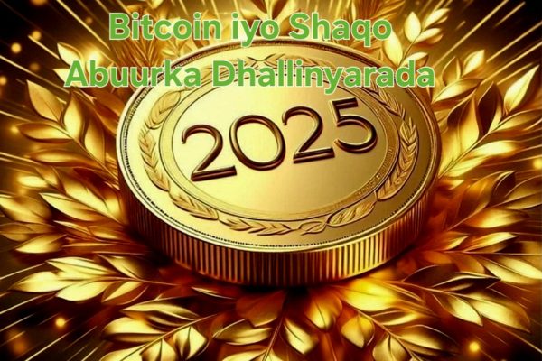 Bitcoin iyo Shaqo Abuurka Dhallinyarada
